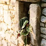 Archontiko Epirus 2 Mourésion