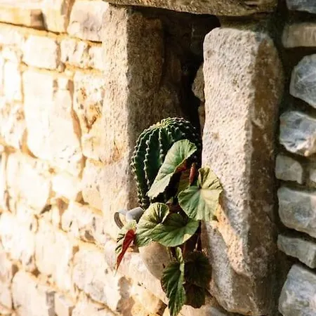 Archontiko Epirus 2 Mourésion