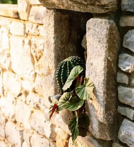 Archontiko Epirus 2 Mourésion